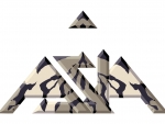 1-2010logo_tiger